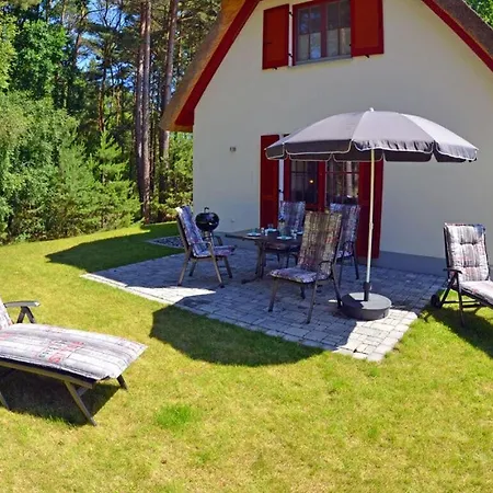 Ringed Plover Comfortable Vacation